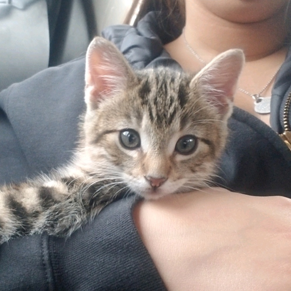 Meet your Posher, Daryl